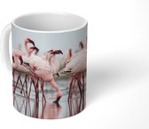 Mok - Een groep lichtroze flamingo's staat in het water - 350 ML - Beker