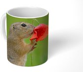 Mok - Eekhoorn die ruikt aan rode bloem van fotograaf Dick van Duijn - 350 ML - Beker