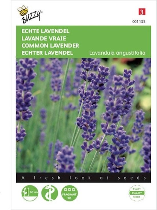 Buzzy Zaden Lavendel - Lavandula angustifolia - Buzzy