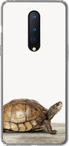 Geschikt voor OnePlus 8 hoesje - Schildpad - Jongen - Dieren - Kinderen - Meisjes - Siliconen Telefoonhoesje