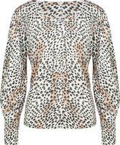 Cheetah Travel Top