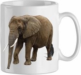 Mok 'Olifant/ elephant 1,1' | Dierenliefhebber | Kadootje voor hem| Kadootje voor haar