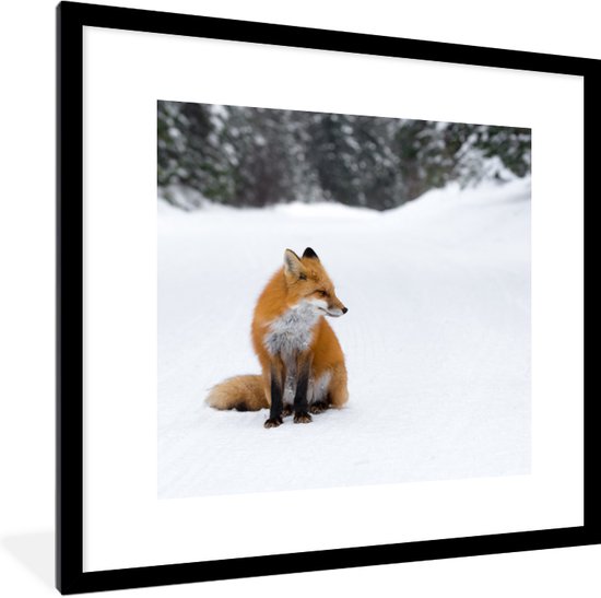 Fotolijst incl. Poster - Vos - Sneeuw - Winter - 40x40 cm - Posterlijst