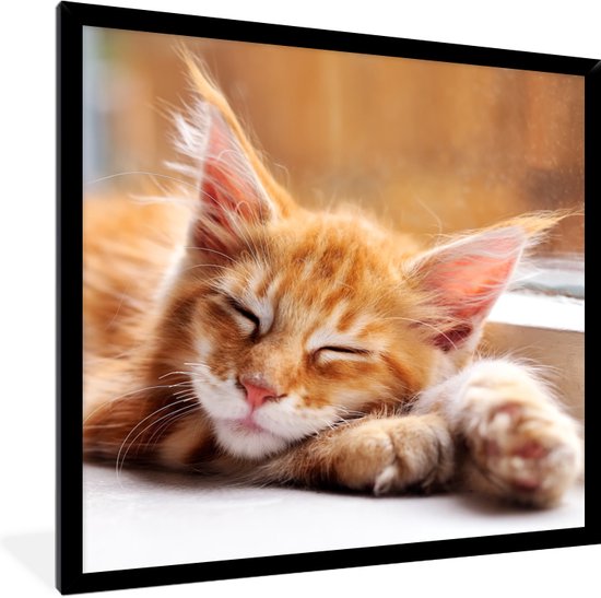 Fotolijst incl. Poster - Oranje Maine coon kat ligt in de vensterbank - 40x40 cm - Posterlijst