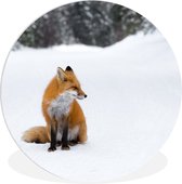 WallCircle - Wall Circle - Wall Circle Indoor - Renard - Neige - Hiver - 120x120 cm - Décoration murale - Peintures Ronds XXL