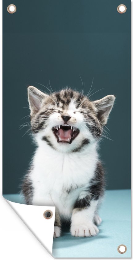 Poster de jardin Chat - Chaton - Miaou - 30x60 cm - Toile de jardin - Poster extérieur