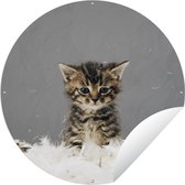 Garden Circle Chat - Chaton - Ressorts - 90x90 cm - Affiche de Jardin Ronde - Extérieur