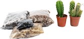 DIY Cactussen open terrarium kit  Instructies toegevoegd