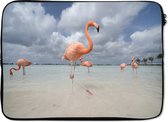 Laptophoes 14 inch - Flamingo's op een eiland in Aruba - Laptop sleeve - Binnenmaat 34x23,5 cm - Zwarte achterkant