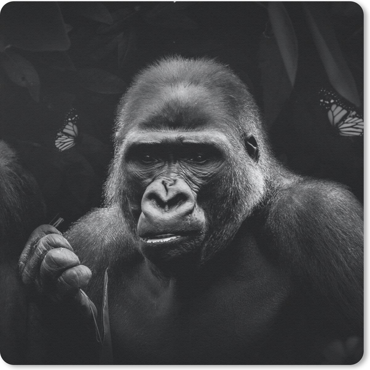 Muismat 20x20 cm - Mousepad Dieren - Aap - Gorilla - Zwart - Wit - Muismatten