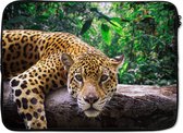 Laptophoes 14 inch - Jaguar - Boomstam - Jungle - Laptop sleeve - Binnenmaat 34x23,5 cm - Zwarte achterkant