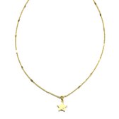 Ketting Shining Star Goud | 18 karaat gouden plating | Messing - 38 cm + 5 cm extra | Buddha Ibiza