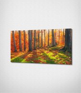 Forest In Daylight Canvas- 100 x 60 cm