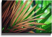 Walljar - Palm Blad - Muurdecoratie - Canvas schilderij