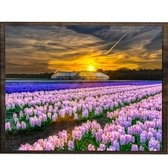 Eagle® Diamond Painting Volwassenen - Diamond Painting XXL - Bloemenveld in Nederland - 100x80cm