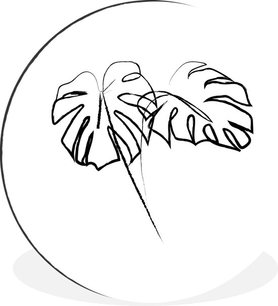 Illustration botanique en ligne de deux grandes feuilles Cercle mural aluminium ⌀ 90 cm - impression photo sur cercle mural / cercle vivant / cercle de jardin (décoration murale)