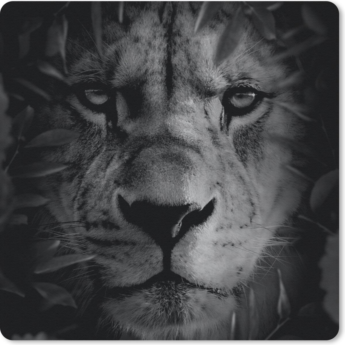 Muismat 30x30 cm - Mousepad Dieren - Leeuw - Natuur - Zwart - Wit - Muismatten