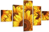 Schilderij - Zonnebloemen, 5luik, premium print