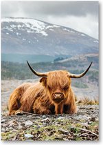 Schotse Hooglander - A2 Poster Staand - 42x59cm - Besteposter - Dieren - Natuur