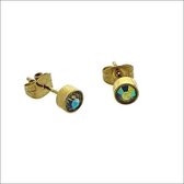 Aramat jewels ® - Ronde zweerknopjes zirkonia ab transparant goudkleurig chirurgisch staal 5mm