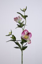 Kunstbloem - Helleborus - kerstroos - topkwaliteit decoratie - 2 stuks - zijden bloem - Paars - 58 cm hoog