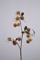 Kunsttak - Ramboetan - topkwaliteit decoratie - 2 stuks - zijden kunsttak- Bruin - 85 cm hoog