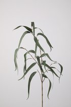 Kunsttak - Eucalyptus - topkwaliteit decoratie - 2 stuks - zijden plant - Groen - 112 cm hoog