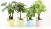 FloriaFor - Jungle Mix In Pastel Keramiek - - ↨ 40cm - ⌀ 13cm