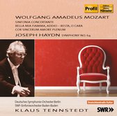 Deutsches Symph.Orch Berl Soloists - Mozart: Sinfonia Concertante/Hayd (CD)