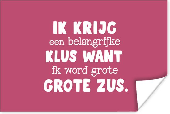 Poster Spreuken - Quotes - Ik word grote zus - Zus - Zusje - Broertje