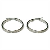 Aramat jewels ® - Rvs oorringen streepjes 30mm x 3mm zilverkleurig staal