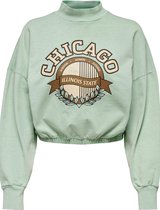 Jacqueline de Yong Trui Jdychris L/s Print Sweat Jrs 15245601 Basil Dames Maat - S