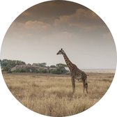 Behangcirkel giraffe op savanne | ⌀ 100 cm | Wandecoratie | Wandcirkel