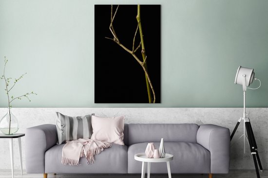 Tableau sur toile Phasme assis sur une branche - 90x140 cm - Décoration murale