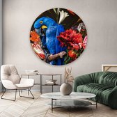 Artistic Lab Poster - Muurcirkel Macaw Parrot Round Plexiglas - Multicolor