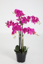 kunstplant - Orchidee - topkwaliteit plant - kamerplant in pot - donker paars - 65 cm hoog