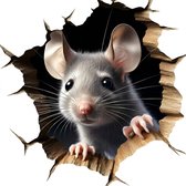 Grijze muis met grote oren, kijkt door een gat in gebroken hout.
