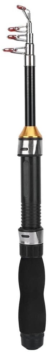 Dailygoods - Mini Bag Fishing Rod - Beginners Fishing Rod - Lichtgewicht en draagbaar - Zwart zilver - Voor zee- en zoetwatervissen - Ideaal voor volw