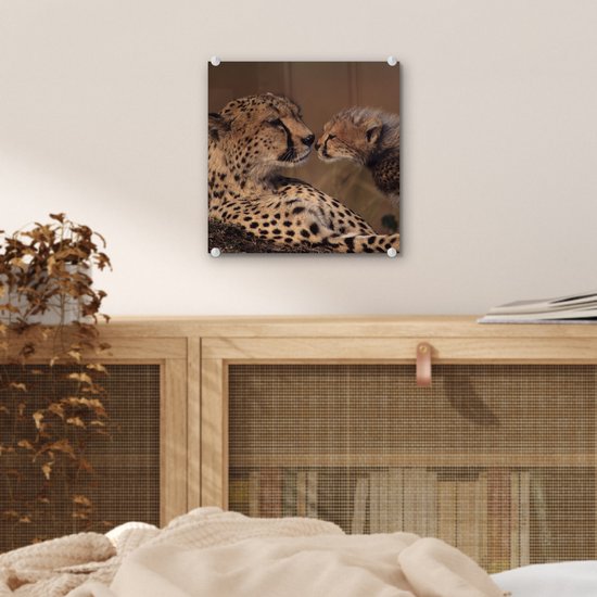 ® Glasschilderij 20x20 cm - Schilderij acrylglas - Cheeta moeder en welp - Foto op glas - Muurdecoratie woonkamer - Wanddecoratie slaapkamer - Schilderijen