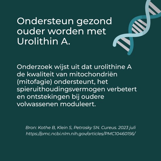 Tekst 'Ondersteun gezond ouder worden met Urolithin A.' met DNA-icoon en uitleg over mitochondriale ondersteuning.