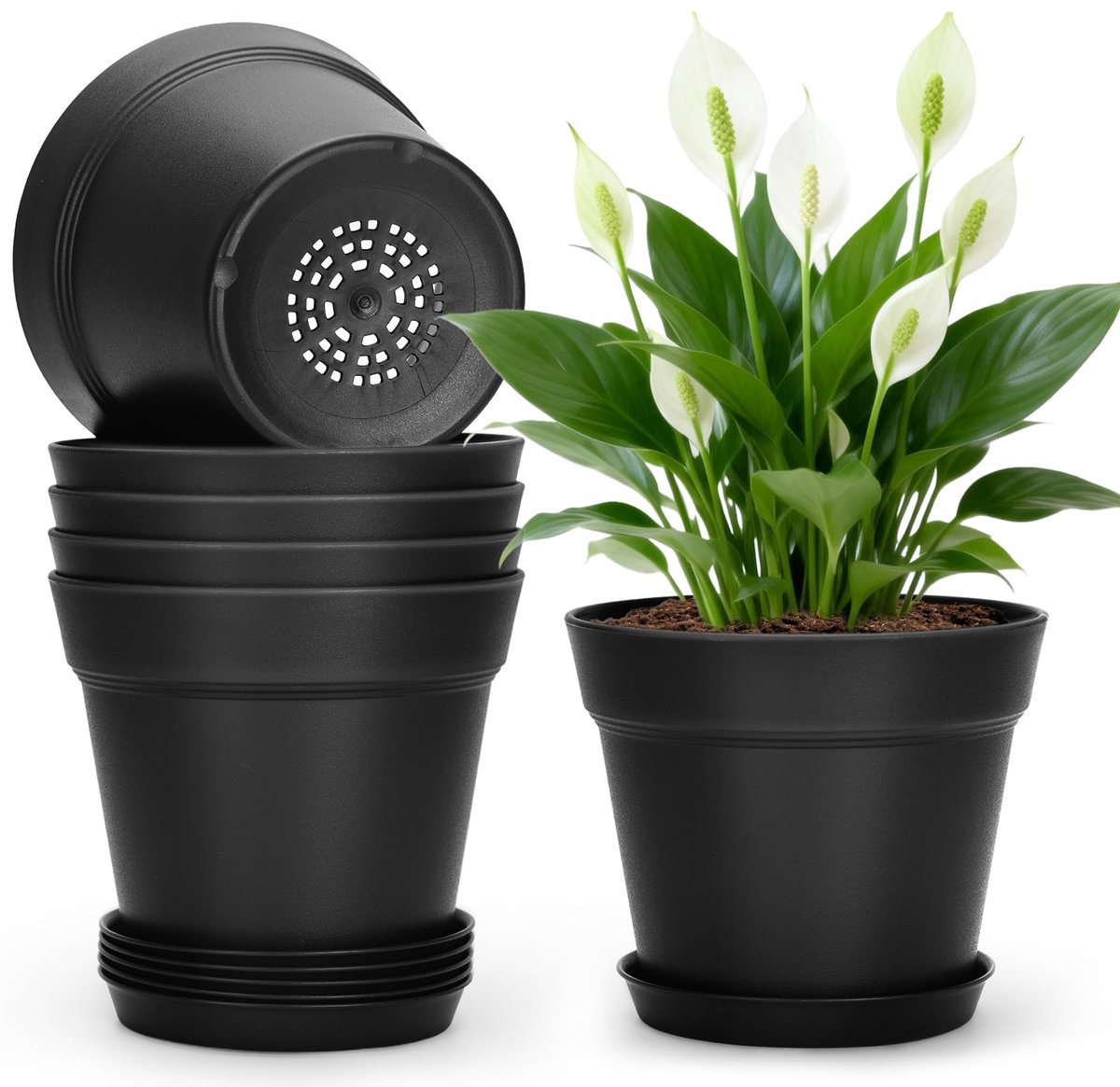 Dailygoods - 6 Stuks Zwarte Plastic Plantenpotten 15,3 cm met Drainagegaten en Trays