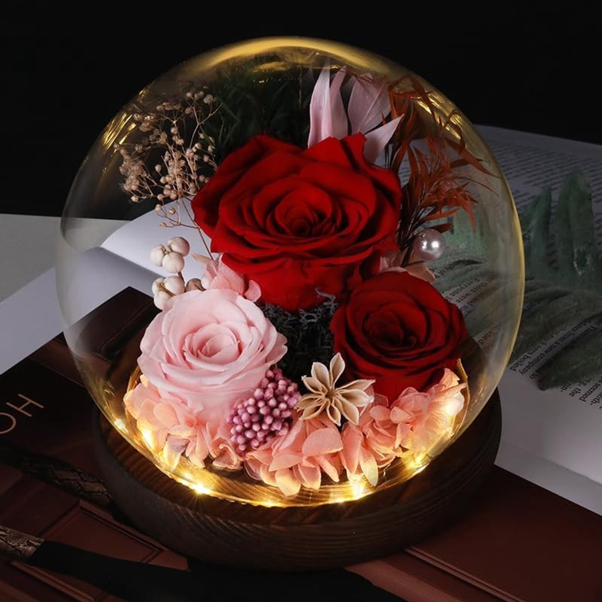 Dailygoods- Roos in Glazen Koepel - Eeuwige Bloem - Rode Rozen - Cadeau voor Vrouwen - Houten Sokkel - LED Verlichting
