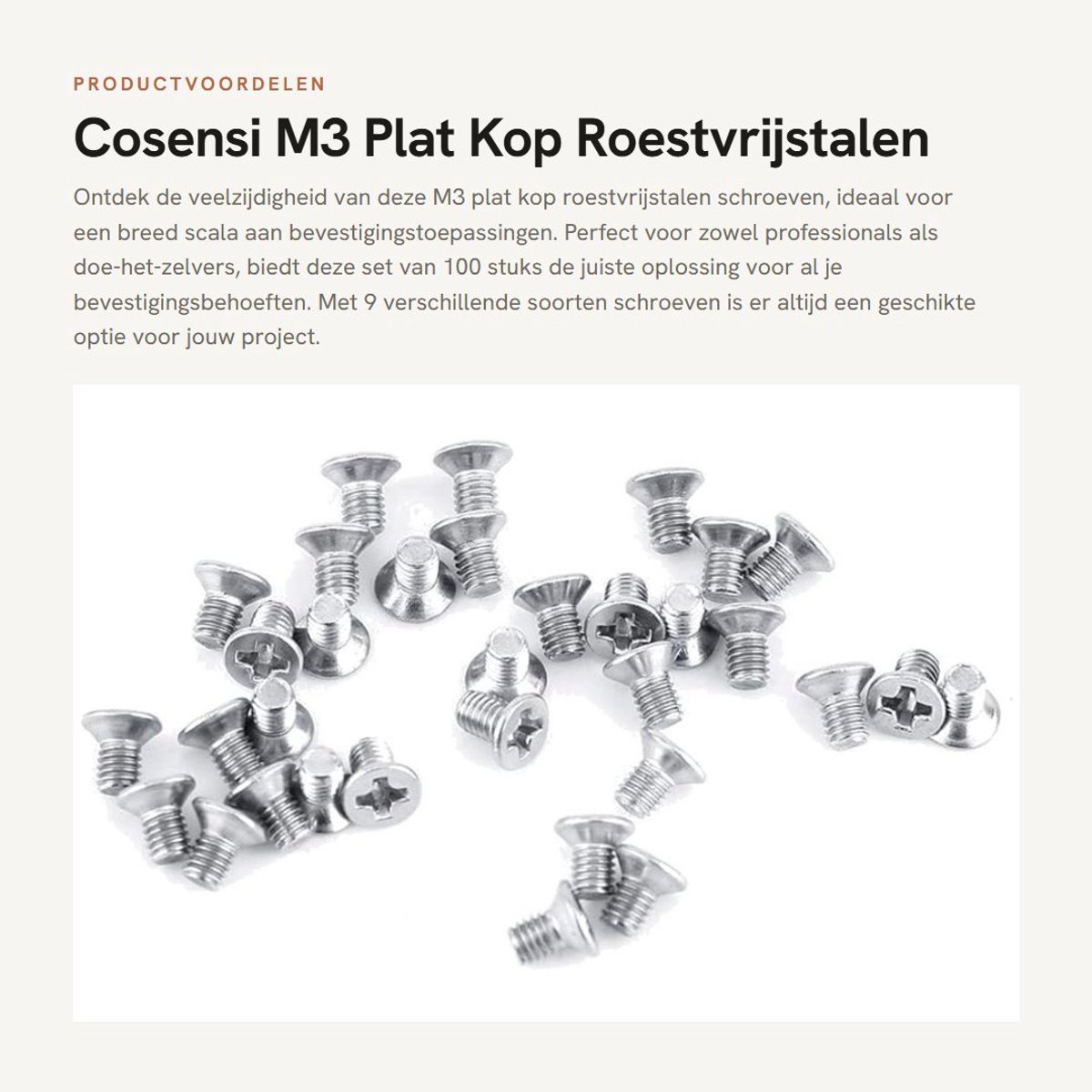 Dailygoods- Schroeven 100 Stuks - Roestvrij Staal - Verzonken Bevestigingsbouten - Hout - Algemene Bevestiging - Professionele Kwaliteit - Bevestigingsmateriaal