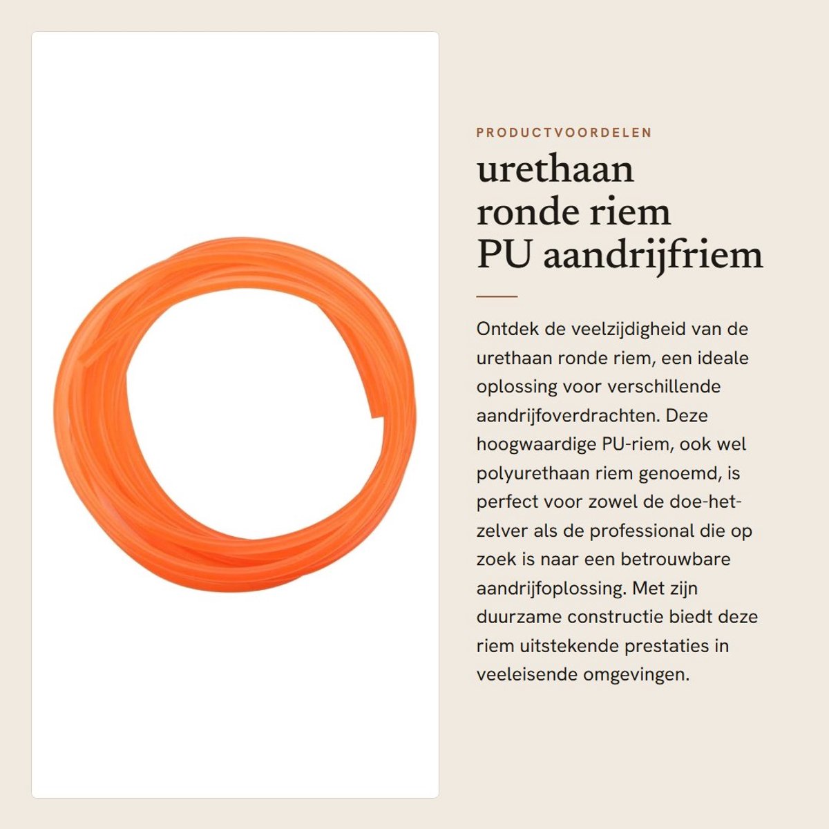 Dailygoods- Aandrijfriem PU - Ronde Polyurethaan Riem - 8 mm x 5 m - Aandrijfoverdracht - Geschikt voor Meerdere Toepassingen - Warm Lassen - Transmissieriem