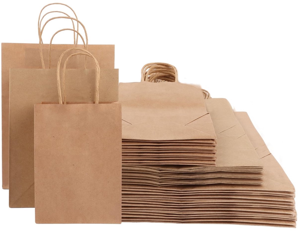 Dailygoods- Papieren Zakken 100 Stuks - Bruine Papieren Zakken - Papieren Draagtassen - Papieren Zakken met Handvat - Papieren Zakken voor Brood - 1 Stuks - Papieren Tas