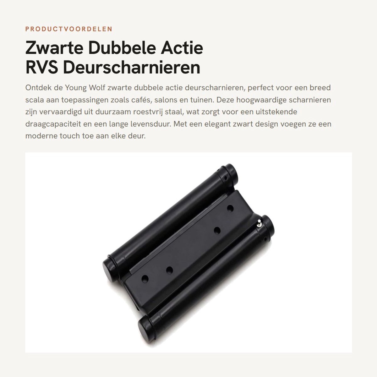 Dailygoods- Deurscharnieren 4 Inch - Dubbele Actie - Roestvrij Staal - 4 Stuks (2 Pairs) - Verstelbare Sluiting - Zwart - Geschikt voor Deurdiktes 2-3cm - Springdeurscharnier