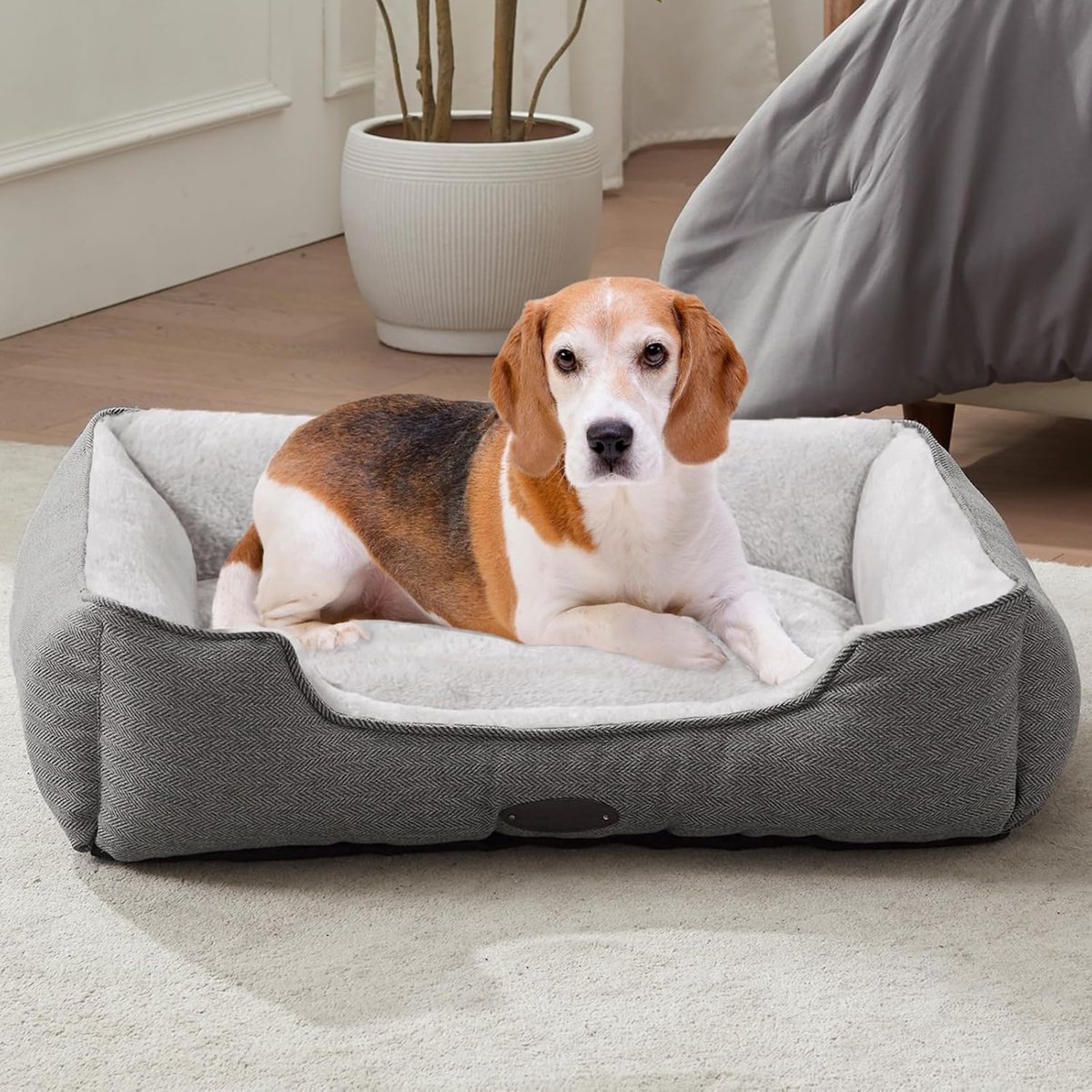 Hondenbed - Huisdier mand - Comfortabel slapen - Wasbare hoes - Medium groot - Grijs