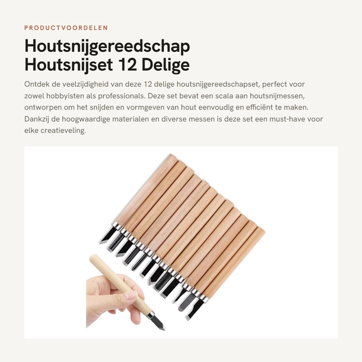 Dailygoods- Snijmes Set 12 Stuks - Houtsnijgereedschap - Snijgereedschap - Houtsnijmessen - Ergonomische Handgrepen - Robuust 65 Mangaanstaal