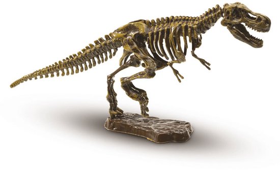 Goudkleurig T-Rex skelet op een bruine sokkel, met witte achtergrond.
