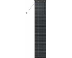 Venetiaanse Jaloezieën - Raambekleding Lamellen - Lichtregeling Binnen - Mat Aluminium - 50 x 220 cm - Zwart